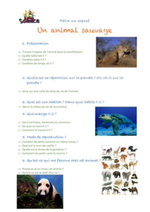 expose animal sauvage petite